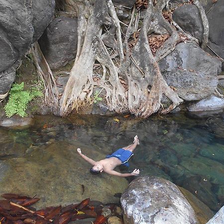 White Water Woods Resort Vythiri Εξωτερικό φωτογραφία