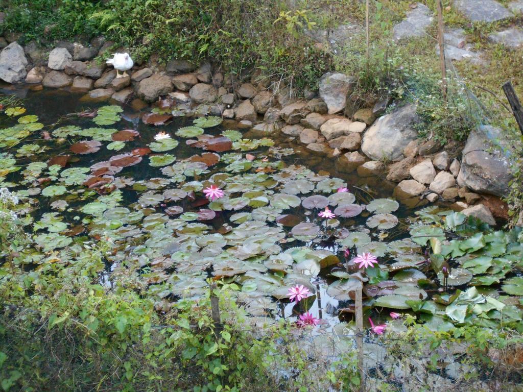 White Water Woods Resort Vythiri Εξωτερικό φωτογραφία