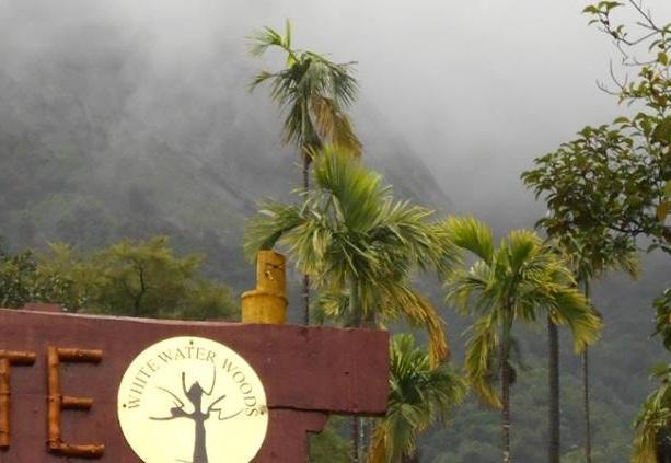 White Water Woods Resort Vythiri Εξωτερικό φωτογραφία